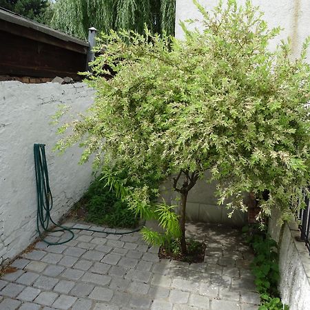 Stary Toruń Mur 4 - Apartament Z Patio מראה חיצוני תמונה