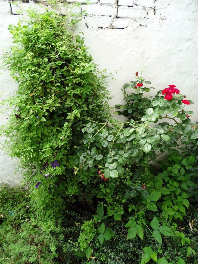 Stary Toruń Mur 4 - Apartament Z Patio מראה חיצוני תמונה