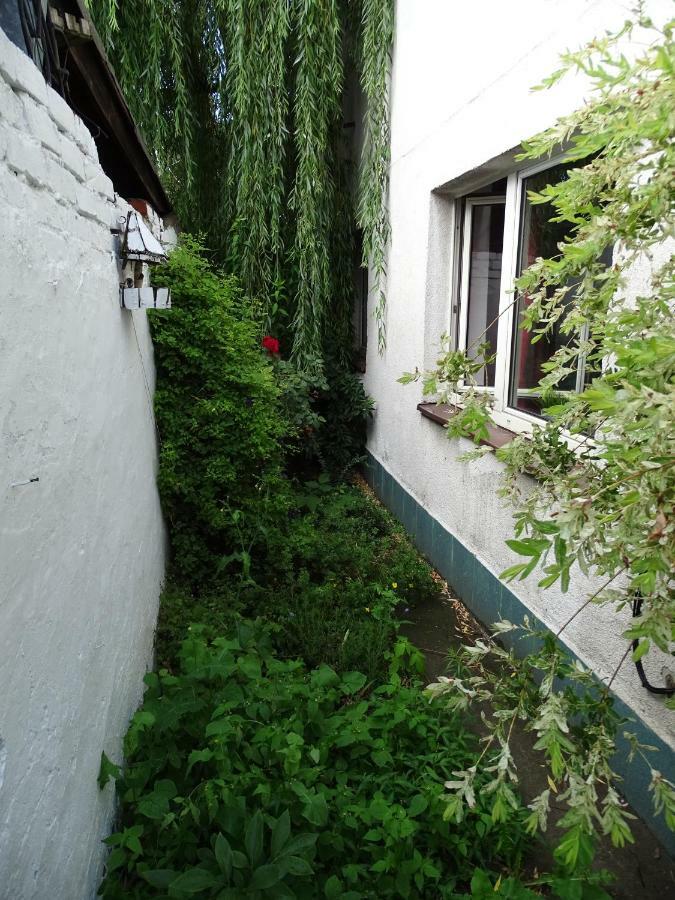 Stary Toruń Mur 4 - Apartament Z Patio מראה חיצוני תמונה