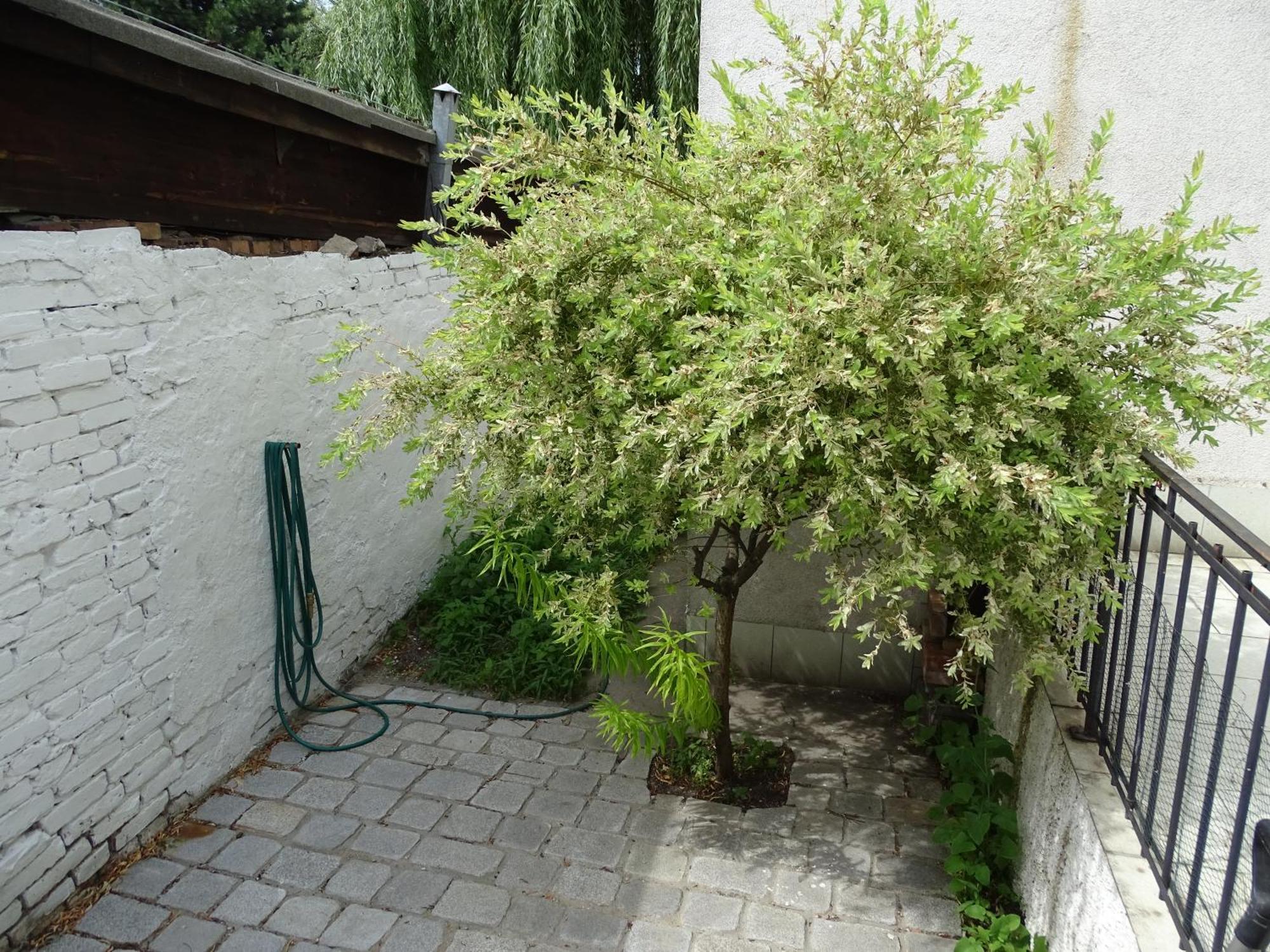Stary Toruń Mur 4 - Apartament Z Patio מראה חיצוני תמונה